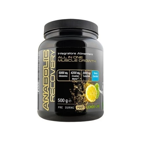 ANABOLIC RECOVERY 500GR